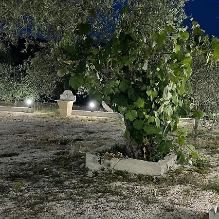 Gasthuis Luna Durrës